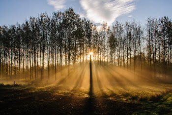Early Morning in East Flanders, Belgium. Light Rays are being cast...