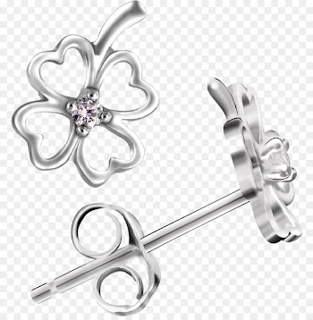 Earring Fashion accessory Jewellery - Earrings,earring 