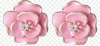Earring Fashion accessory Jewellery - Earrings,earring 