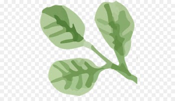 Earring Leaf Jewellery Glass Plant stem - Field Guide 