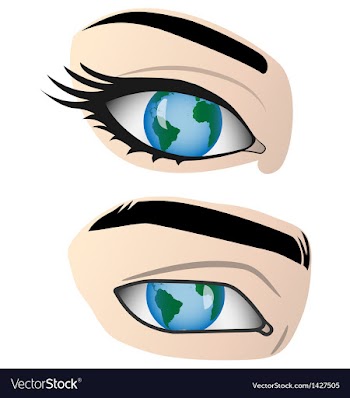 Earth in the human eye vector image