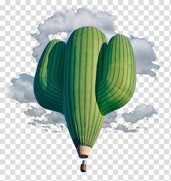 Earth Internet art Adidas Yeezy Nike Aesthetics, watercolor cactus transparent background PNG clipart