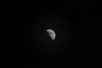 earth's moon