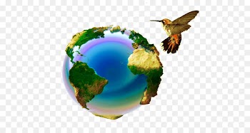 Earth Stock photography Image Illustration - Holi Nepal 