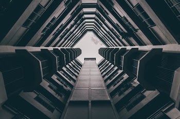 earthworm photography of building