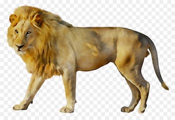 East African lion Dog Puppy Felidae Kitten -  