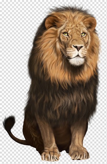 East African lion Felidae Desktop , wild animals transparent background PNG clipart