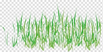 Easter awaiter, green and black abstract illustration transparent background PNG clipart