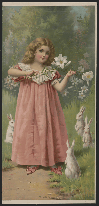 "Easter beauties" | Free Photo - rawpixel