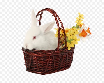 Easter bunny