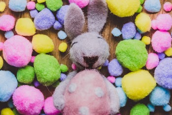 Easter bunny 5