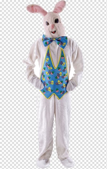 Easter Bunny Costume party Clothing Amazon.com, rabbit transparent background PNG clipart
