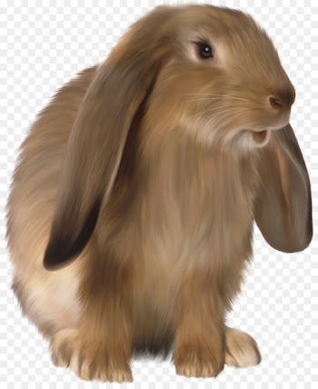 Easter Bunny Domestic rabbit Hare - bunnies 