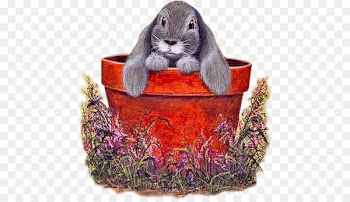 Easter Bunny Domestic rabbit Hare - easter 