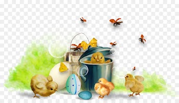 Easter Bunny Duck Clip art - Cartoon Eggs 