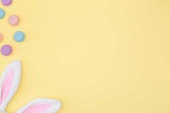 Easter Bunny Ears