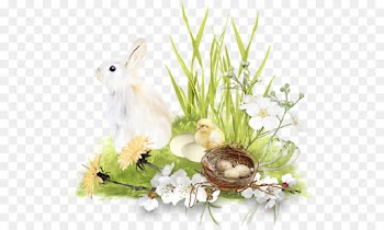 Easter Bunny, Easter, Easter Egg, Grass PNG