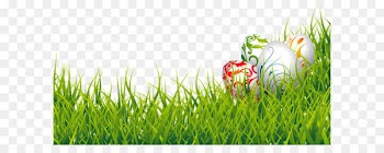 Easter Bunny Easter egg Clip art - Easter Eggs and Grass PNG Clipart Picture 