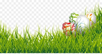 Easter Bunny Easter egg Clip art - Floral Design Easter Eggs In Grass PNG 