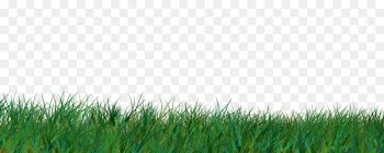 Easter Bunny Easter egg Eastertide Clip art - grass 