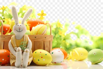 Easter Bunny Easter egg Rabbit Easter basket - Exquisite Easter ad elements 