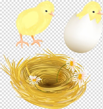 Easter Bunny Easter egg , watercolor egg transparent background PNG clipart