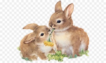 Easter Bunny Easter parade Holland Lop Hare - Easter 
