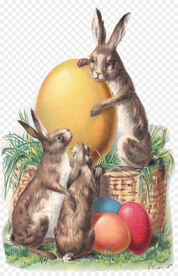 Easter Bunny Easter postcard Paper - Easter Bunny gold 