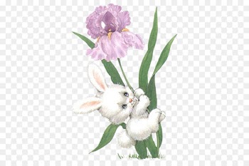 Easter Bunny European rabbit Hare - rabbit 