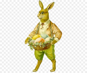 Easter Bunny Greeting Card Easter postcard Greeting & Note Cards - recanto 
