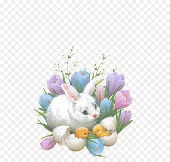 Easter Bunny Happiness Happy Easter Wallpaper - flowers rabbit 