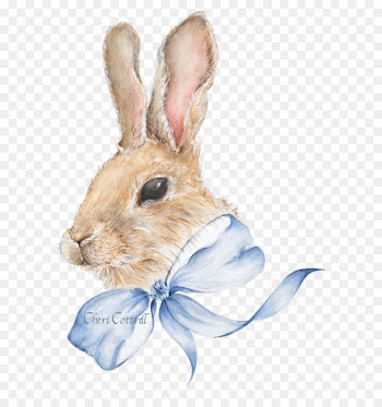 Easter Bunny Hare Domestic rabbit - watercolor bunny 