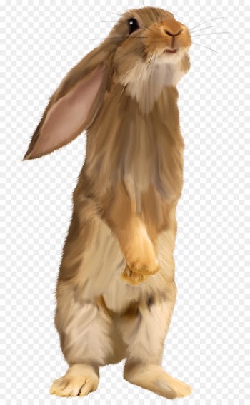 Easter Bunny Hare Squirrel Rabbit - Brown cute bunny 