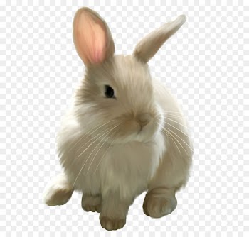 Easter Bunny Rabbit Clip art - Cute Painted Bunny PNG Picture Clipart 