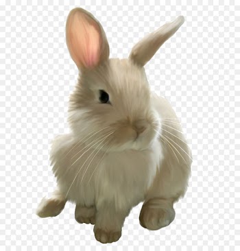 Easter Bunny Rabbit Clip art - Easter Rabbit PNG Image 