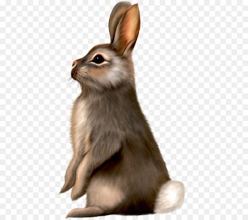 Easter Bunny Rabbit Clip art - Long ears brown rat painted gray rabbit 