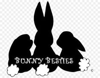 Easter Bunny Rabbit - Easter 