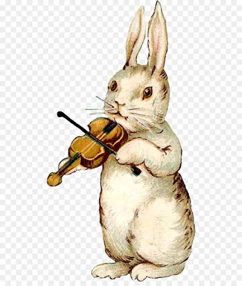 Easter Bunny Rabbit Easter postcard Illustration - Violin rabbit 
