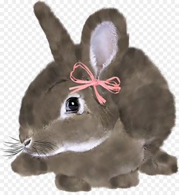 Easter Bunny Rabbit Hare - Lovely Bunny US 