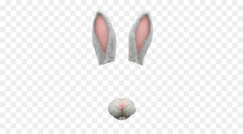Easter Bunny Rabbit Sticker - filter snap chat 