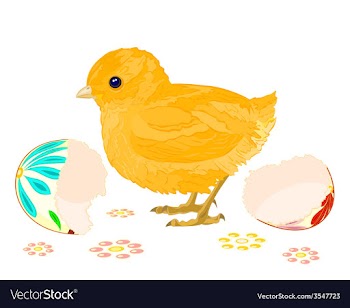 Easter chick hatched from Easter eggs vector image