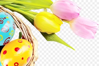 Easter egg