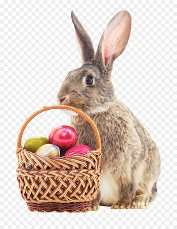Easter egg