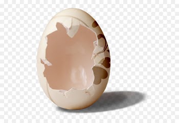Easter egg Chicken egg - Broken egg shell 