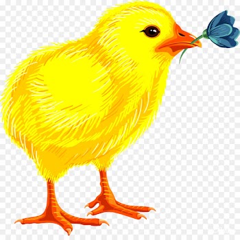 Easter egg Clip art - chick 