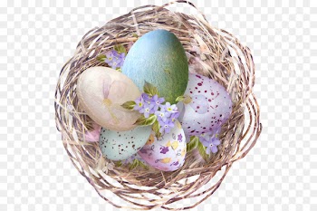 Easter egg Nest Chicken - easter 