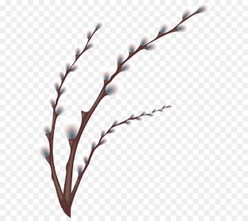 Easter egg tree Egg hunt Easter customs - Easter Willow Tree Branch Transparent PNG Clip Art Image 