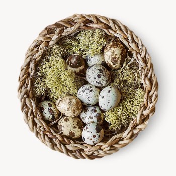 Easter eggs, isolated image design | Free Photo - rawpixel