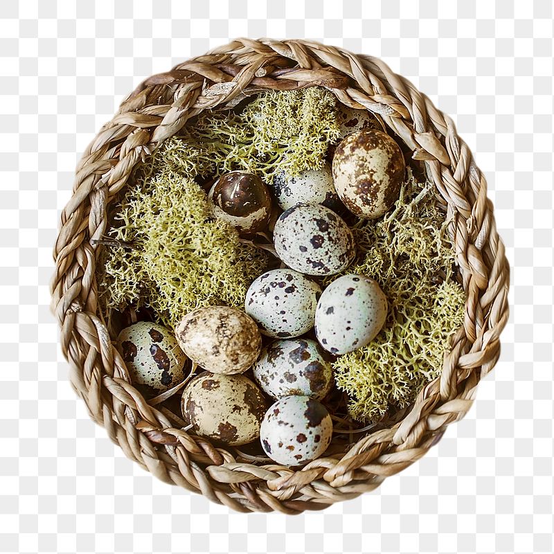Easter eggs png sticker, transparent | Free PNG - rawpixel