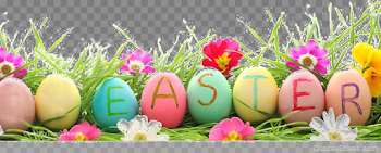 Easter Grass Eggs PNG High-Quality Image